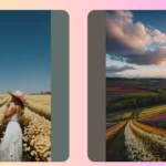 Frame the Fun: 16 Must-Try Flower Field Photography Ideas