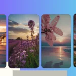 Serenity on Your Screen: 18 Calm Wallpaper iPhone Ideas