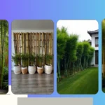 Transform Your Space with 21 Bamboo Garden Ideas