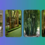 From Fences to Zen: 21 Bamboo Garden Ideas You Need