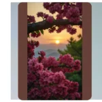 Springtime Splendor: 16 Flowering Trees to Brighten Your Garden