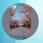 Aesthetic Adventures Amidst Cherry Blossoms: Top Places to Visit