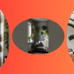 16 Vibrant Indoor Plants to Transform Your Living Room Décor