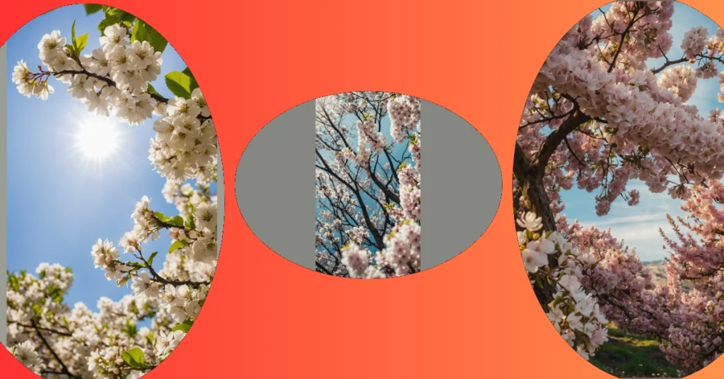 The Blooming Palette: 16 Flowering Trees to Paint Your Garden** ** 31 11 183
