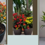 Dreamy Décor Delight: 20 Faux Outdoor Plants Ideas You’ll Adore