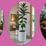 Elevate Your Space: 16 Must-Have Indoor Plants for Every Room