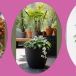 Brighten Up Your Front Doors with Faux Outdoor Plants!