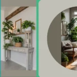 Cozy Living: 16 Room Plants That Transform Your Space