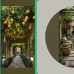 Bring Tuscany Home: 15 Outdoor Patio Ideas for Your Garden Oasis