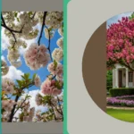 Pink Petals and White Blossoms: 16 Flowering Trees for Your Garden Bliss**

**