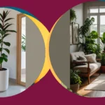 Dive into Greenery: 16 Room Plants for Aesthetic Living