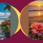 Dive into Summer: 18 Awesome Wallpapers for Your Digital World!