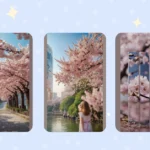 Your Cherry Blossom Bucket List: 21 Picture-Perfect Places