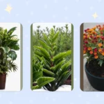 Faux Plants That Make a Statement at Your Front Doors