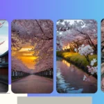 Discovering Japan Through 21 Cherry Blossom Spots