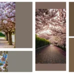 Transform Your Small Garden with These 16 Stunning Flowering Trees