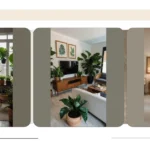 Dorm Life Redefined: 16 Room Plants That Bring Life to Your Space