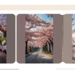 21 Cherry Blossom Gems You Can’t Miss in Japan