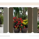 Faux Outdoor Plants: The Best Way to Dress Up Your Fall Front Doors