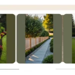 Spruce Up Your Space: 15 Sizzling Property Line Landscaping Ideas