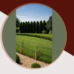 Happy Yards, Happy Homes: 15 Creative Landscaping Ideas for Your Property