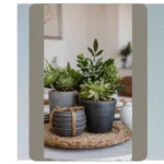 Elevate Your Everyday Casual Dining with These 16 Simple Decor Ideas