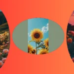 Celebrate Spring with Stylish 15 May Wallpaper Ideas