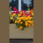 21 Window Box Flower Ideas That Will Boost Your Home’s Curb Appeal
