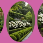 16 Green and White Garden Ideas to Wow Your Guests