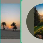 Wallflowers Need Color Too: 19 Amazing Aesthetic Wallpapers for Your Screens**  
**