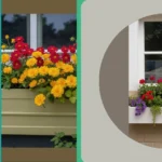 Brilliant Blossoms: 21 Window Box Flower Arrangement Ideas**  
**