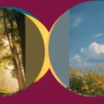 Screen Freshness: 19 Lovely Aesthetic Wallpapers to Brighten Your Day**  
**