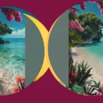 Take a Trip to Paradise: 16 Must-Have Tropical Wallpaper Ideas!**  
**