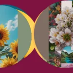 **Transform Your Screens with 15 Aesthetic Pink Wallpapers!**