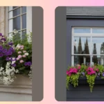 The Ultimate Guide to Stunning Window Box Combinations**  
**