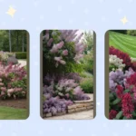 Sprucing Up Your Space: 18 Lilac Garden Inspirations