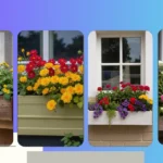 Blooming Brilliant: 21 Window Box Flower Ideas to Brighten Your Home