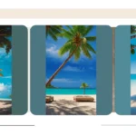 Tropical Escape: 16 Wallpaper Ideas for a Lush Living Space