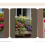 From Dull to Dazzling: 21 Eye-Catching Window Box Flower Ideas