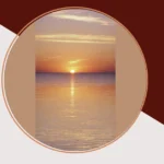 Purse Full of Sunshine: 19 Whimsical Wallpapers to Brighten Your Life