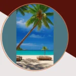 Say Aloha to Style: 16 Tropical Wallpaper Ideas You Need to See