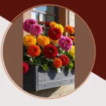 Vibrant Windows: 21 Flower Combinations for Your Window Boxes