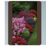 15 Shade-Loving Planters That Will Transform Your Space