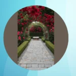 Roses and Giggles: 16 Fun Garden Ideas with Roses