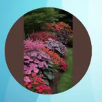 Transform Your Shady Corners with These 15 Planter Ideas