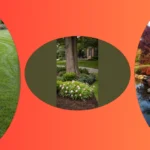 15 Fun and Unique Ideas for Landscaping Around Your Trees