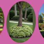 Transform Your Front Yard with Tree Landscaping Ideas