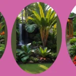 Tropical Plant Paradise: A List of 18 Must-Have Beauties for Your Garden