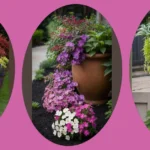 Creative Planters for the Shadiest Corners of Your Garden