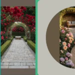 Rose Garden Rhapsody: Designing Your Dream Floral Haven